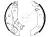 剎車蹄片 Brake Shoe Set:168 420 03 20